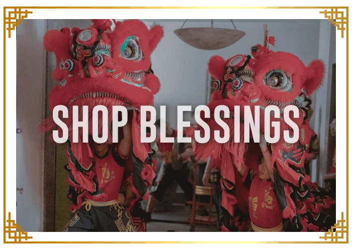 Lion Dance For Shop Blessings